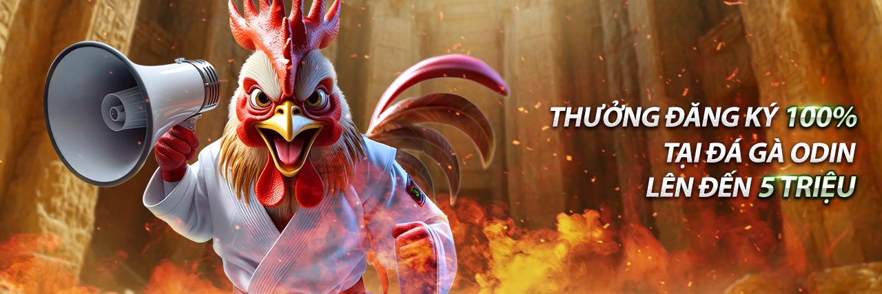 Hình ảnh cá cược đá gà trực tuyến