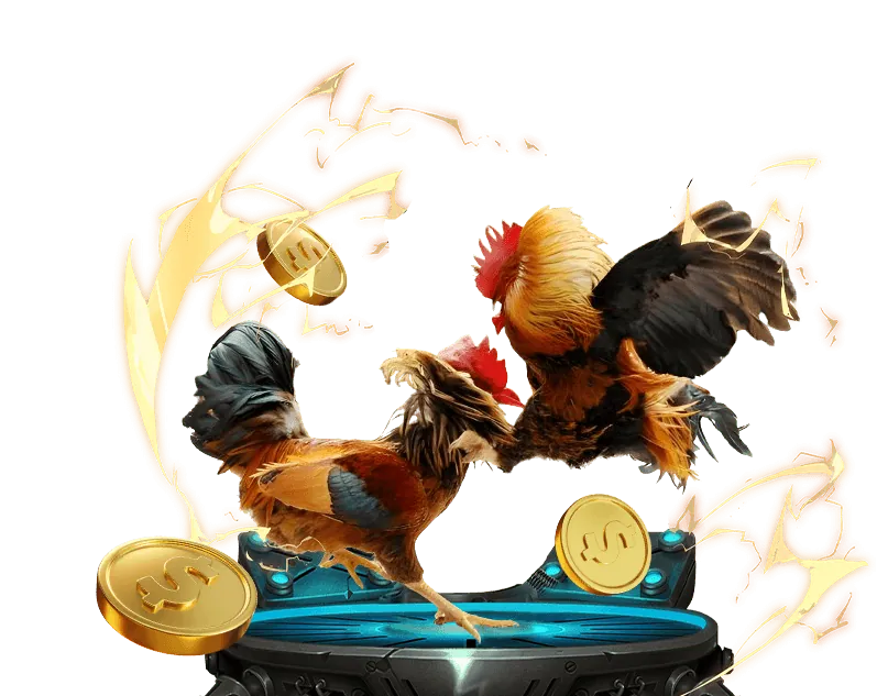 Đá gà trực tuyến